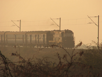 shalimar-sbd.jpg