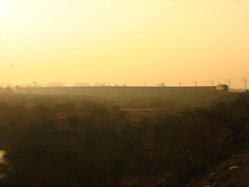 31001-sbd.jpg