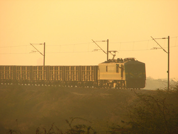 31001-sbd2.jpg
