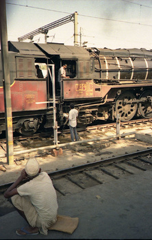wdvadodara2.jpg