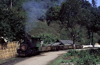 tipong5.jpg
