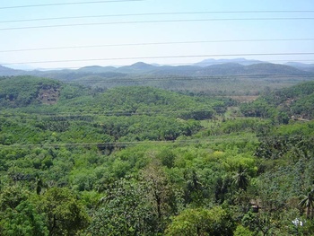 Range after range of hills stretch southward, a view that even the pesky telegraph wires can't detract from