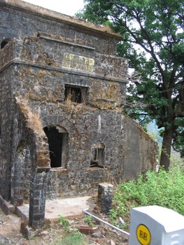 DWF_20060528