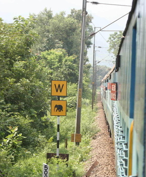 Whistle warning board with a graphical representation of an elephant below it. This is in Palakkad (PGT) - Podanur (PTJ) section