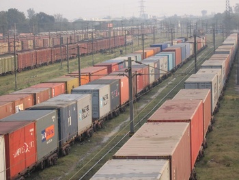 56 A lot of Container rakes can been seen at TKD being an Container Loading Depot A WDM at a coming out od Shed.jpg