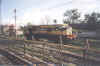 sur.jpg (98815 bytes)